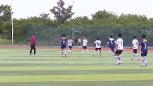 了解墨西哥人浪文化与世界杯2026的精彩融合
